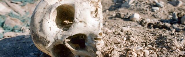 HOROR U PARKU Tragali za uskršnjim jajima, pronašli ljudsku lobanju!