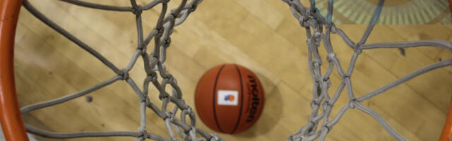 U Srbiji se i košarkaši traže na tržišti rada