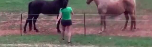 ŽENA JE TOLIKO BILA UZBUĐENA DA JE MORALA DA POMAZI KONJE: Ono što se DESILO godinama SVIMA PREPRIČAVA (VIDEO)