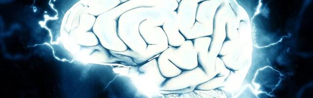 Naučnici napravili korak bliže "oživljavanju" mozga nakon zamrzavanja