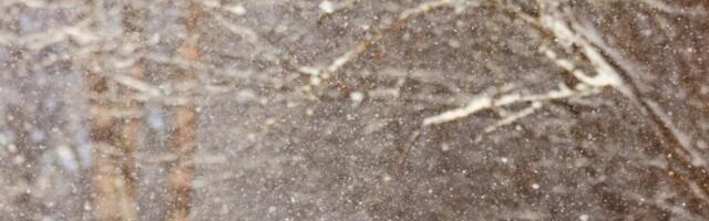 Oglasio se RHMZ: Evo gde će noćas padati SNEG