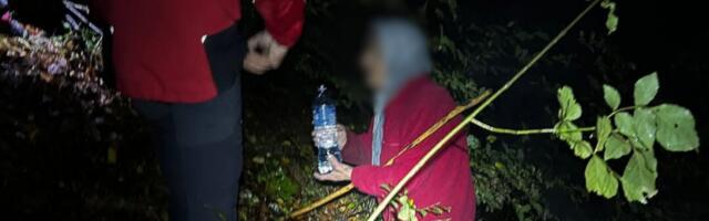 BAKA KOJA SE IZGUBILA SA KOZAMA KOD SURDULICE PRONAĐENA ŽIVA Oglasila se Gorska služba spasavanja (FOTO)