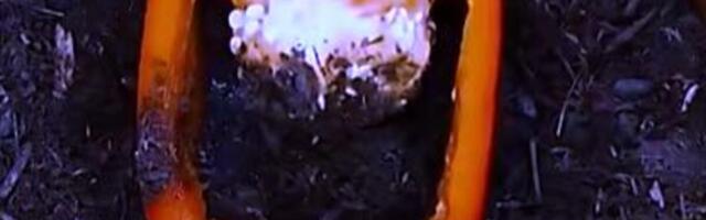 NAPUNILA JE PAPRIKU ZEMLJOM, MISLILI SU DA NIJE PRI SEBI: Ono što se desio na kraju OBORIĆE vas sa nogu (VIDEO)