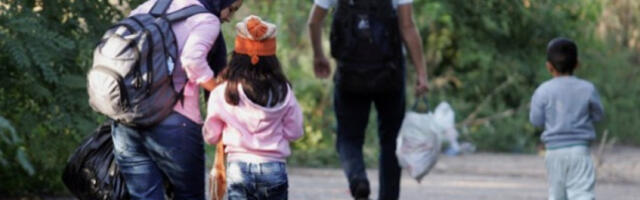 У Србији од 2008. до данас решење за азил добила 261 особа