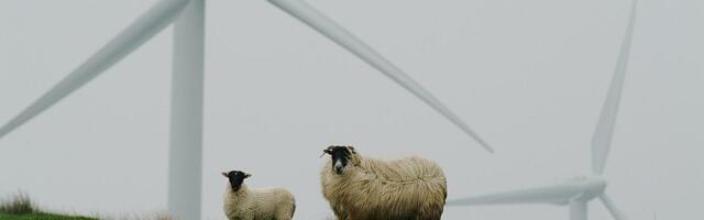 Da li su dometi "zelene energije" skromni?