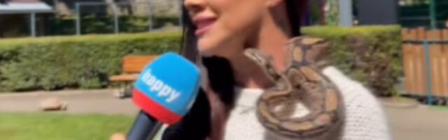 SCENA LEDI KRV U ŽILAMA! Naša voditeljka u PROGRAMU stavila ZMIJU OKO VRATA: Situacija izmakla kontroli, osoblje HITNO REAGOVALO! (VIDEO)
