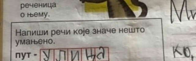 Jedan školarac rešio je zadatak na urnebesan način (FOTO)