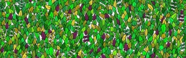 ZELENA ŽABA SE SAKRILA! Ako možete da je pronađete za 15 sekundi VI STE GENIJE!