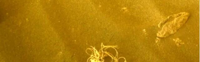 Rover Američke svemirske agencije snimio neobičan predmet na Marsu