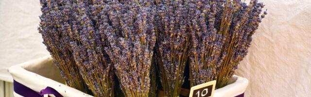 Kako lavanda pomaže protiv stresa i nesanice, a pritom osvežava vaš dom i garderober