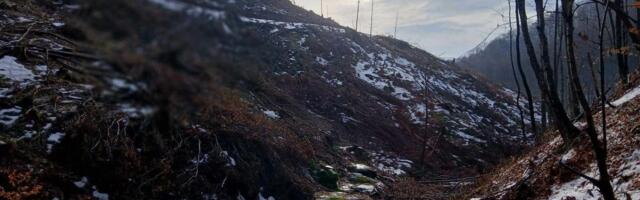 Seča šume u Kanjonu Voljevica na Bešnjaji