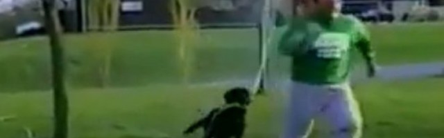 PRESMEŠNO! Ovo je hit snimak! Pas vlasnika doveo do LUDILA!