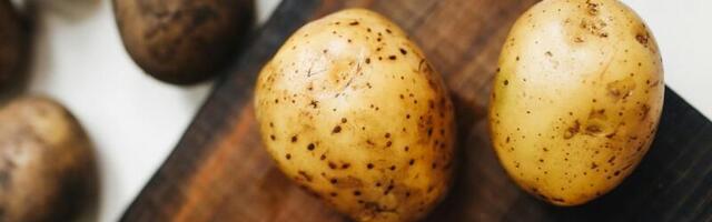 6 svakodnevnih namirnica za koje niste znali da mogu biti opasne