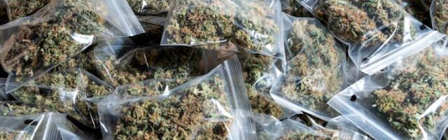 Carinici u poštanskoj pošiljci pronašli drogu poslatu sa Tajlanda