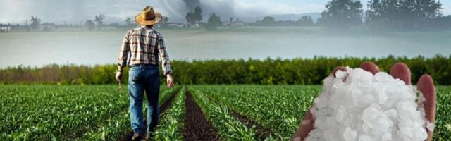 LED VELIČINE LEŠNIKA KOD KOVAČICE!  – Poljoprivrednici strepe, nevreme ne posustaje! (FOTO)