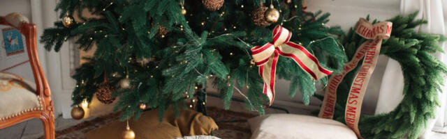 Evo kako da vaš dom zasija još pre Nove godine, uz dobro odabrane detalje