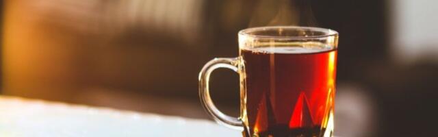 NAJSTARIJI LEK NA SVETU, A RASTE U SRBIJI! Ovaj dar prirode najbolji je čistač organizma!