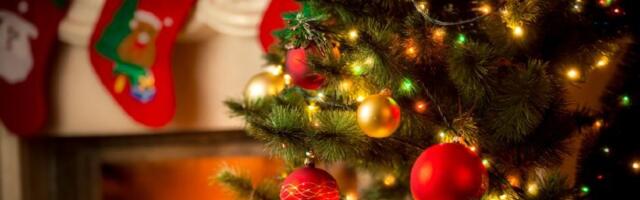 Kako izgleda savršena jelka za svaki znak