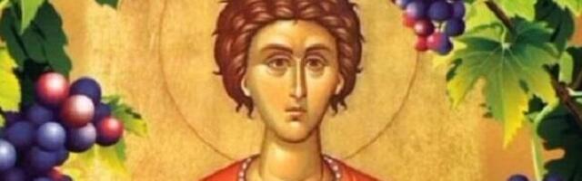 Данас је Свети Трифун, празник виноградара и заштитник занатлија
