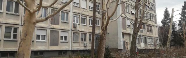 „Bez hlada i kiseonika“ – Leskovčani zabrinuti zbog orezivanja stabala