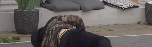 Zadrugar PAO NA BETON i slomio BUTNU KOST! Produkcija odmah reagovala, morao HITNO na OPERACIJU (VIDEO)