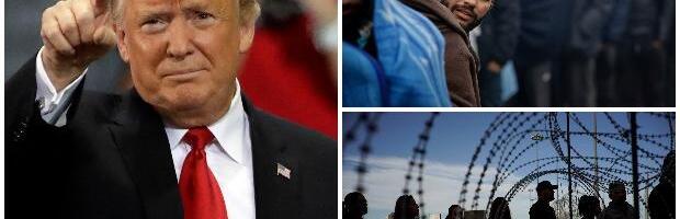 IMIGRANTI NA UDARU: Tramp naredio proveru zelenih karata za ljude iz 19 zemalja