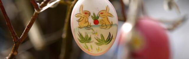 Najjeftinija ideja za uskršnju dekoraciju: Evo kako da unesete prazničnu atmosferu u dom za nula dinara!