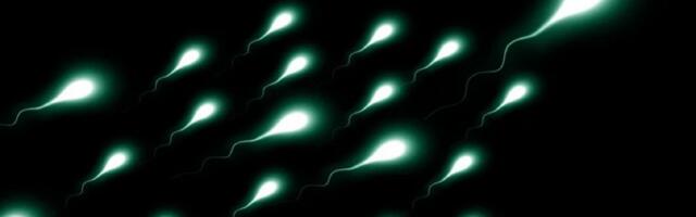 Toksini i klimatski uticaji su verovatan uzrok smanjene plodnosti