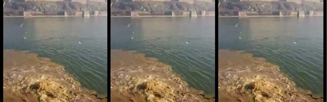 Novi Sad na kanalizaciji – Fekalne vode idu direktno u lepi plavi Dunav