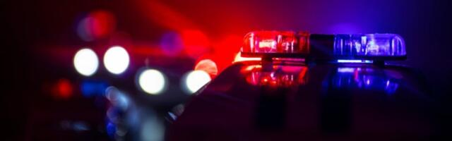 UŽASAN ZLOČIN: Majka sekirom ubila troje dece