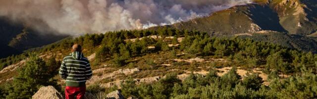 Kako će požari, oluje i potkornjaci izmeniti evropske šume? Nemački eksperti uradili veliku analizu