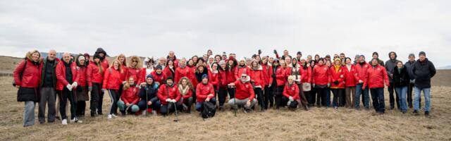 Zaposleni Wiener Städtische osiguranja posadili 500 novih stabala crnog bora na Zlatiboru