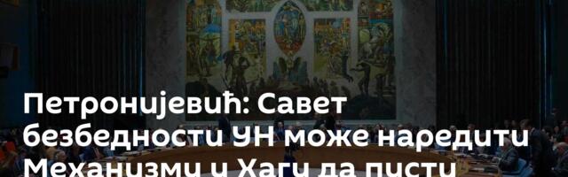 Петронијевић: Савет безбедности УН може наредити Механизму у Хагу да пусти генерала Младића