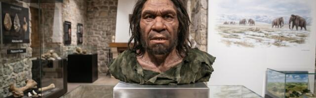 "Zmajev čovek": Misteriozni ljudski rođak iz ledenog doba koji menja priču o našem poreklu