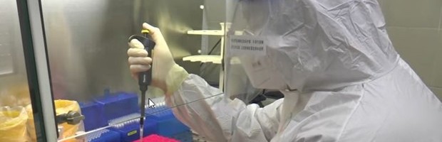 PO BROJEVIMA VIRUS KAO DA STAGNIRA?