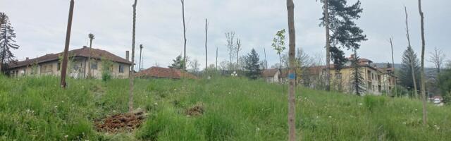 Ozelenjavanje varošice Lučani