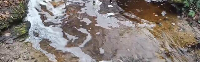 Otvoreno pismo svim (ne)nadležnima u slučaju “Duboko”