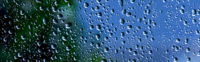 Гљивице у земљишту могу да утичу на настанак кише