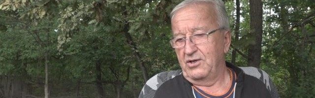 Kada vide Tomovog ljubimca, ljudi  ne mogu da se načude: Mićko je zvezda od 200 kilograma