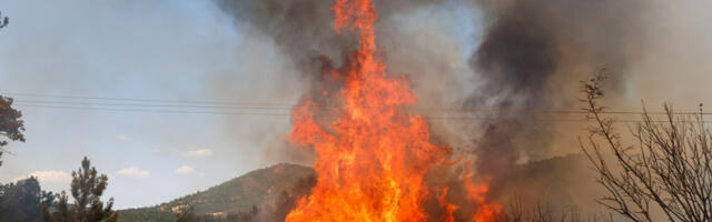 Grčka policija privela 79 osoba za koje se sumnja da su podmetali požare