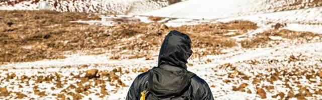 PRIZORI KAO SA DRUGE PLANETE: Tamo gde su svi navikli na 30 stepeni, sada je pao sneg! Prizori koji su obišli svet, 25 centimetara belog pokrivača prekrilo palme! (FOTO, VIDEO)