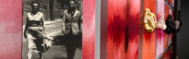 Beogradski irski festival otvara izložbu „Opsada u sobi“ inspirisana Semjuelom Beketom