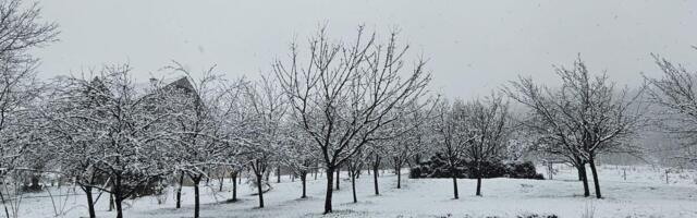 Sneg zavejao ovaj grad u Srbiji kao usred januara: Pada bez prestanka, prava zimska idila, neverovatni prizori