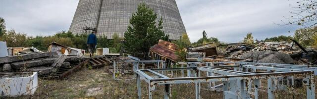 Vratile se rode i to u centar Černobilja! Neverovatan prizor nakon 20 godina (FOTO)