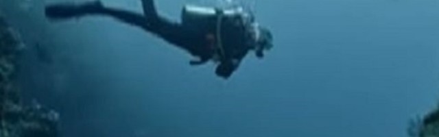 Koristeći virtuelnu stvarnost, biolog prikazuje oštećena dna okeana - "Moramo podići svest ljudi kako bi preživeli" (VIDEO)