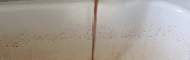 Tehnička voda u Beloj Palanci puna blata, nadležni ćute