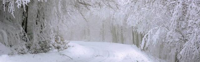 Asmir Kolašinac priča kako Sjeničani podnose – 30 stepeni