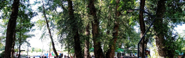 Danas vrelo, osveženje od ponedeljka, a onda sledi “toplotna kupola“