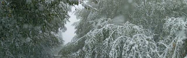 Zbog lošeg vremena ne saobraćaju autobusi do Ponikava