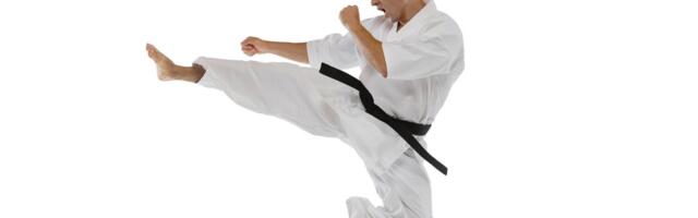 Međunarodni Ašihara kaikan kup osmi put u Beogradu, takmiči se 200 sportista iz 19 klubova